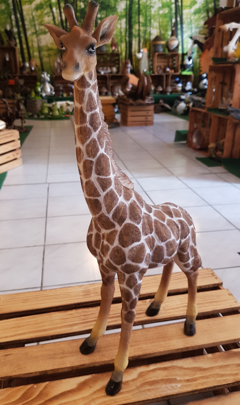 Giraffe, stehend